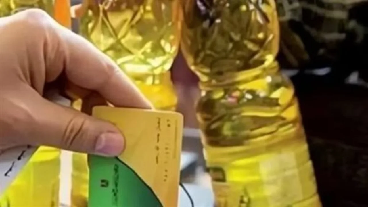 منحة جديدة.. الشروط وآلية الاستعلام عن دعم وزارة التموين